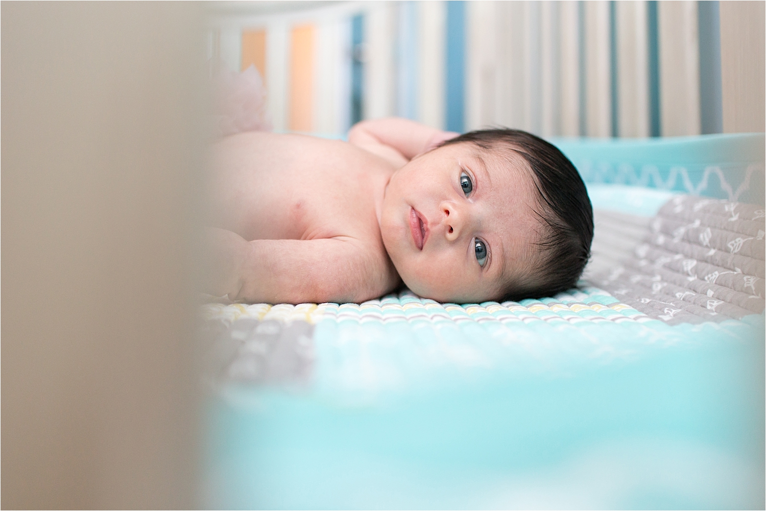 Palatine newborn photographer