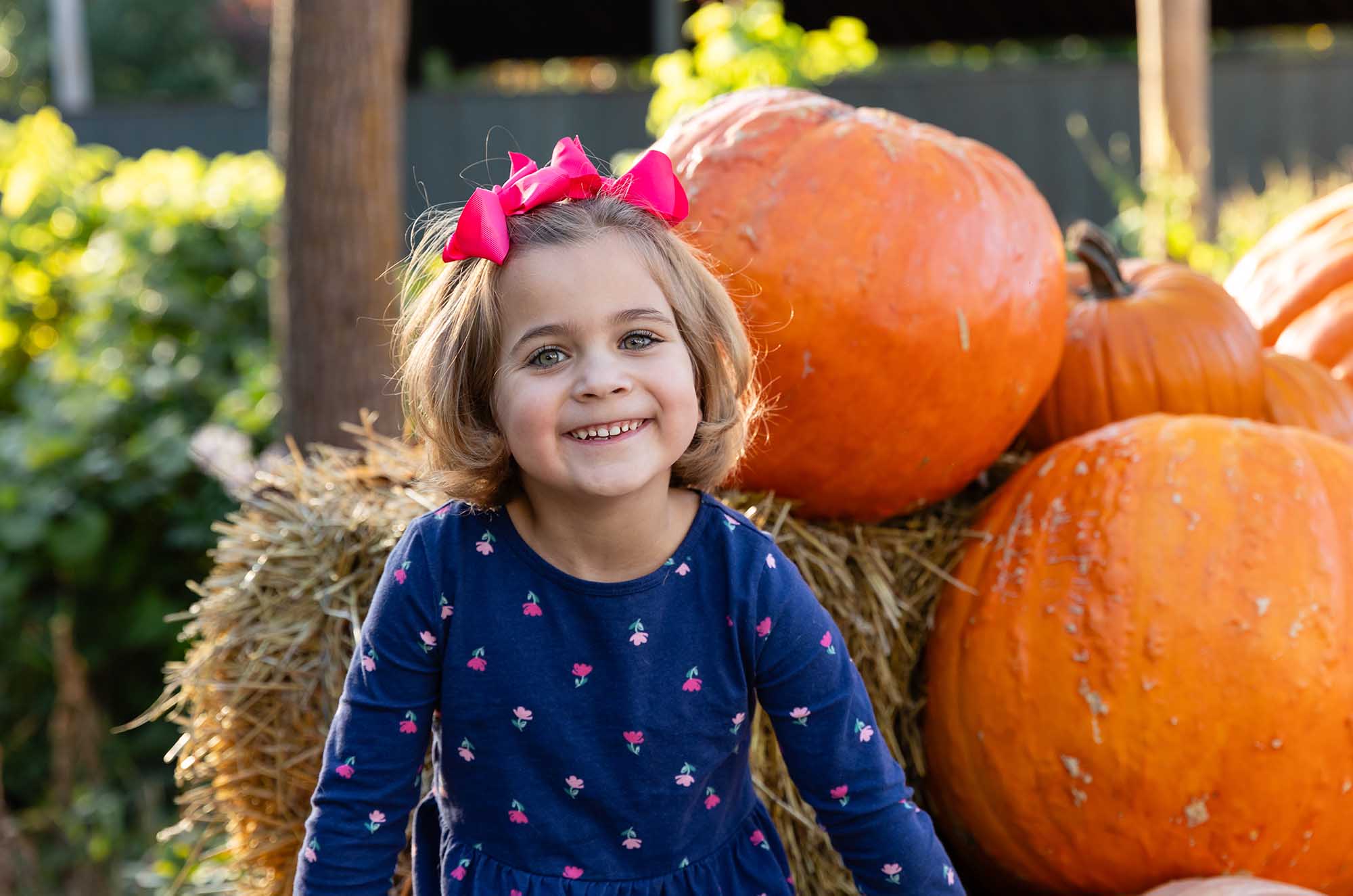 Palatine Mini Sessions